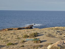 Cabo de Palos 2010